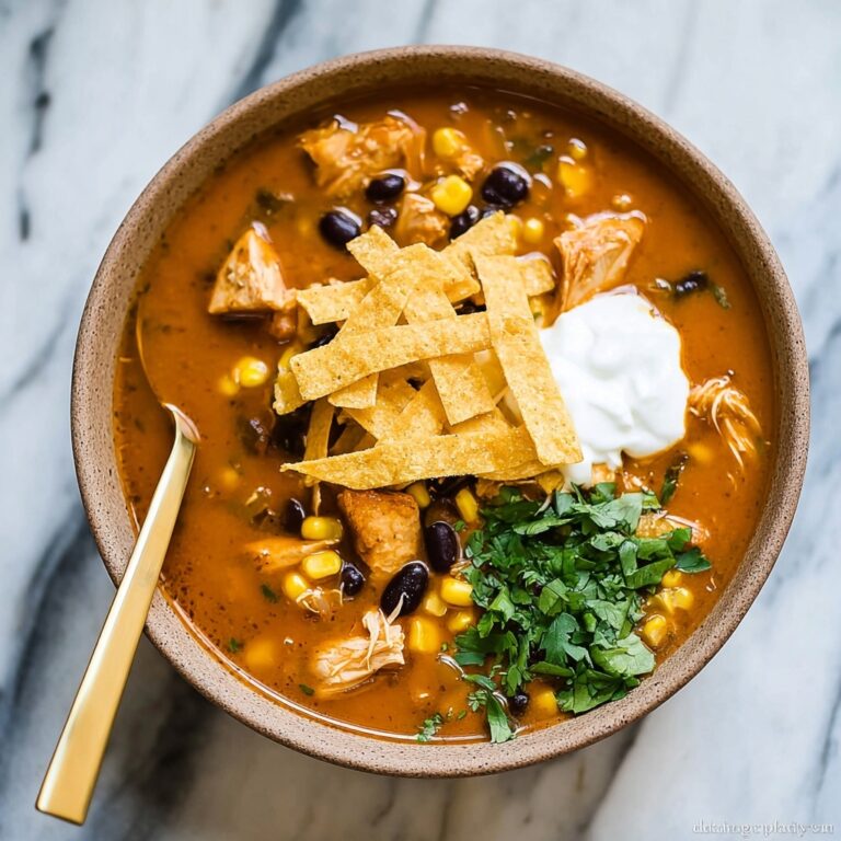 Chicken Enchilada Chili Recipe